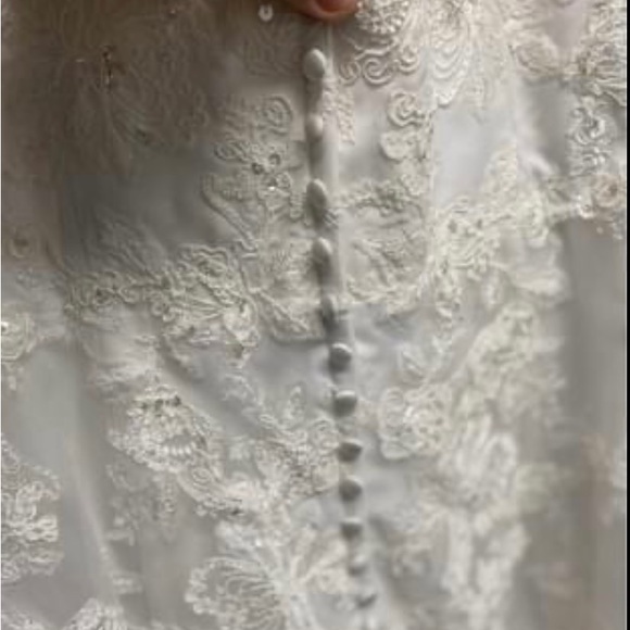 HOST PICK: Tea Length Plus Size Wedding Dress - Picture 3 of 8
